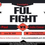 Jake Paul vs. Julio Cesar Chavez Jr.