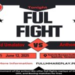 Magomed Umalatov vs Anthony Ivy