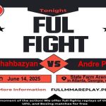 Edmen Shahbazyan vs Andre Petroski