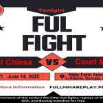Michael Chiesa vs Court McGee